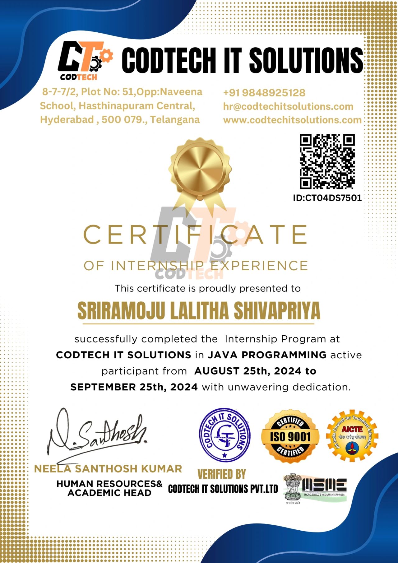 Internship Experience 1